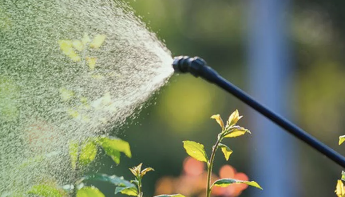 What Is A Pressure Sprayer?